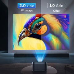 Winways UST Throw ALR Rollable Fresnel Screen - Formovies