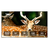Winways UST Throw ALR Fixed Frame Lenticular Screen - Formovies
