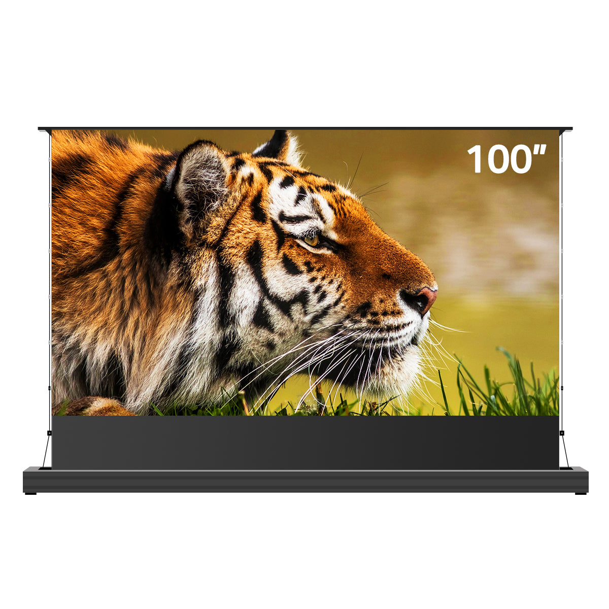 Winways UST Throw ALR 120'' Electric Lenticular Floor Rising Screen