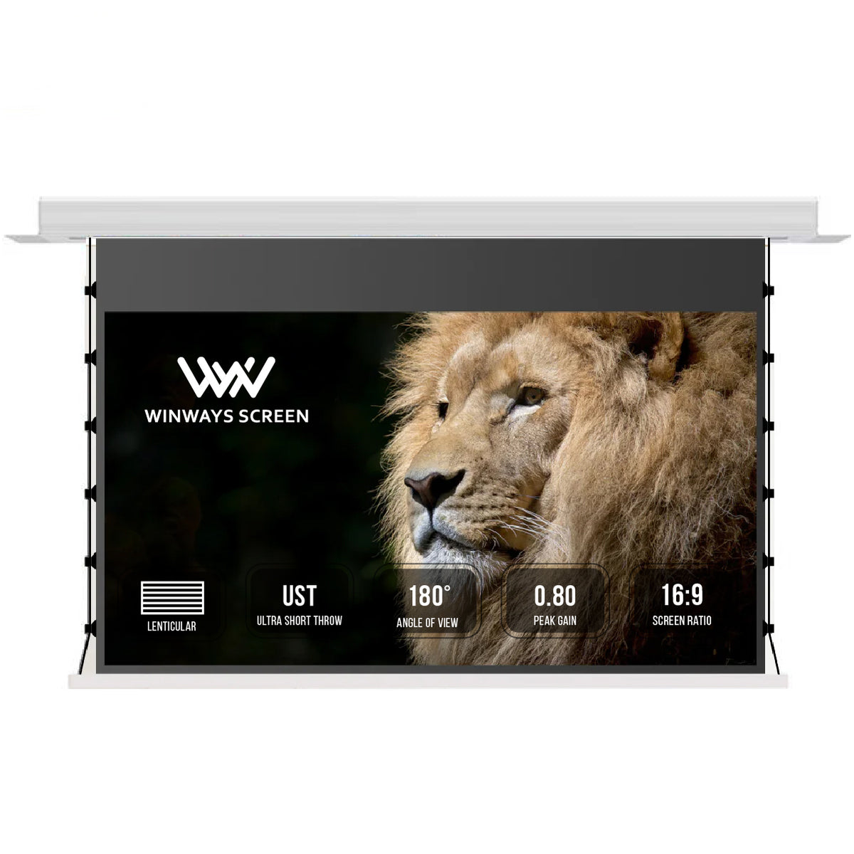 Winways UST Throw ALR 120'' Electric Lenticular Ceiling Tab-Tension Screen - Formovies